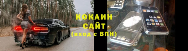 a pvp Белокуриха