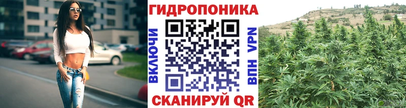 закладки  MEGA ТОР  Марихуана план  Нижнеудинск 